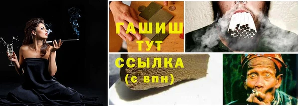 ГАЛЛЮЦИНОГЕННЫЕ ГРИБЫ Наволоки