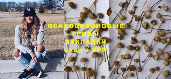 apvp Новозыбков