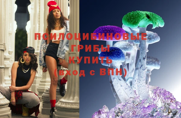 ешки Надым