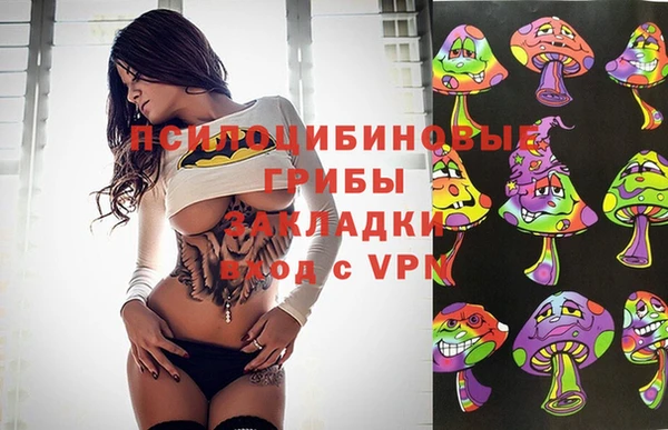 Альфа ПВП Новокубанск