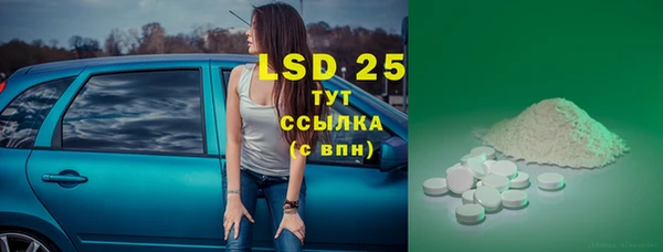 ГАЛЛЮЦИНОГЕННЫЕ ГРИБЫ Наволоки