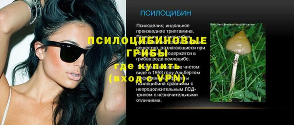 apvp Новозыбков