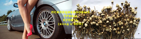 ГАЛЛЮЦИНОГЕННЫЕ ГРИБЫ Наволоки