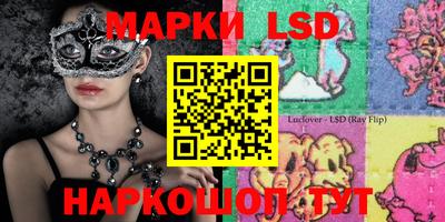 jwh Бийск