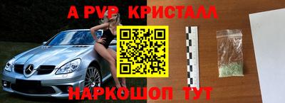 jwh Бийск