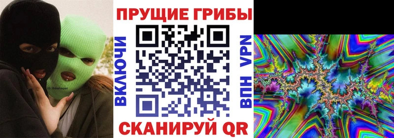 Псилоцибиновые грибы GOLDEN TEACHER Ирбит