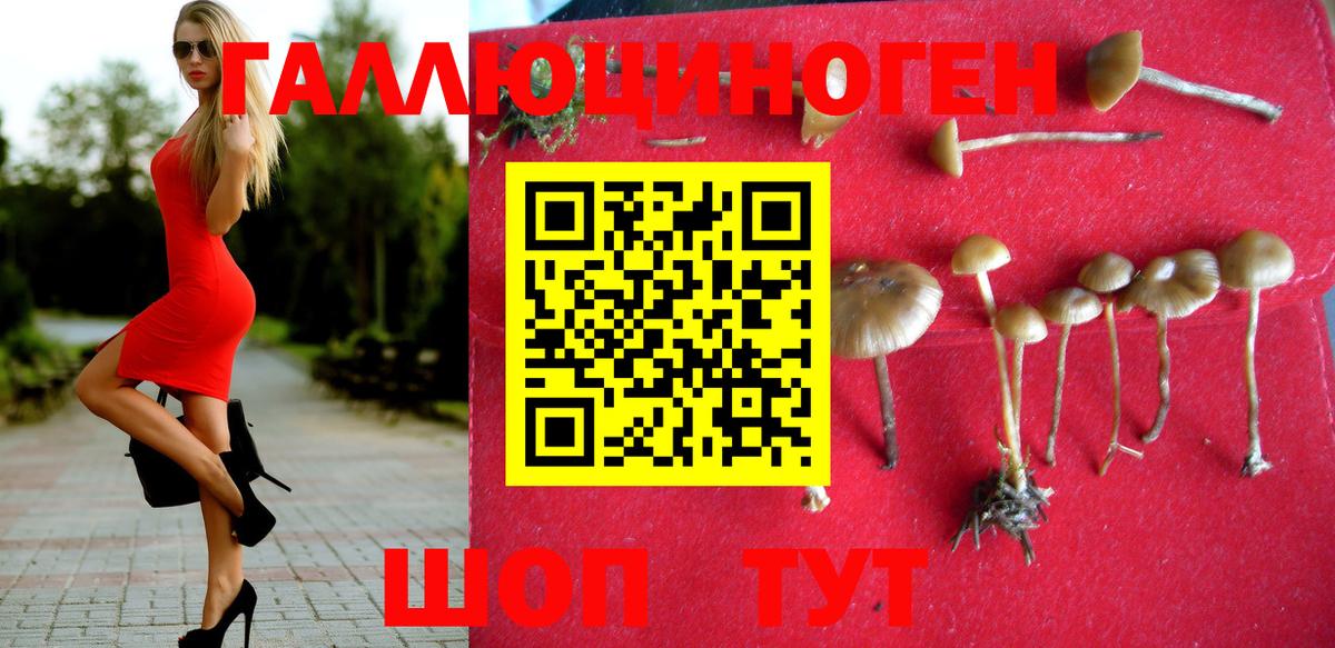 где можно купить наркотик  Вход с VPN  Ирбит  Галлюциногенные грибы мицелий 