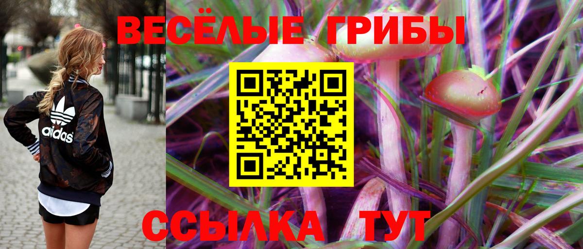 Псилоцибиновые грибы Cubensis  Ирбит 